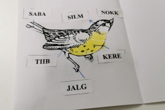 IMG_20211102_100750-2